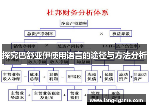 探究巴舒亚伊使用语言的途径与方法分析 探究巴舒亚伊使用语言的途径与方法分析