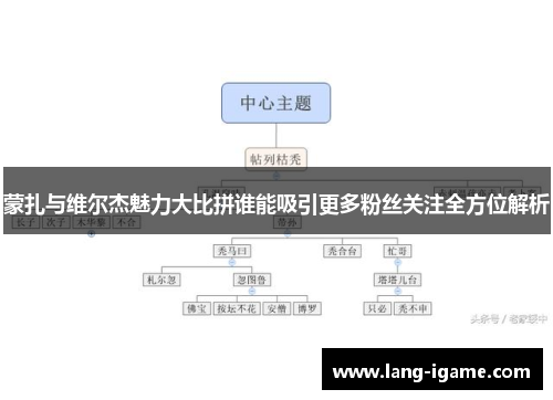 蒙扎与维尔杰魅力大比拼谁能吸引更多粉丝关注全方位解析
