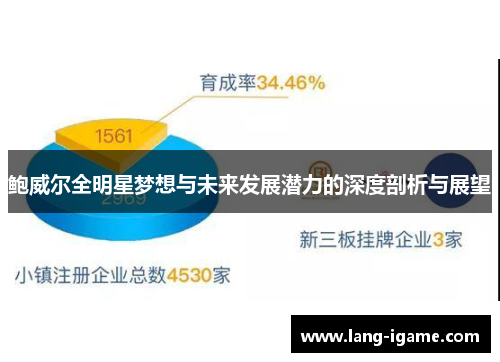 鲍威尔全明星梦想与未来发展潜力的深度剖析与展望